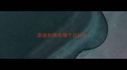 泰迪和博美哪个花钱少