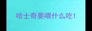 哈士奇要喂什么吃