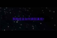 狗狗疫苗如何辨别真假