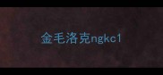 金毛洛克ngkc