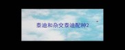 泰迪和杂交泰迪配种