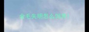 金毛失明怎么饲养