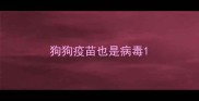 狗狗疫苗也是病毒