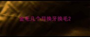 金毛几个月换牙换毛