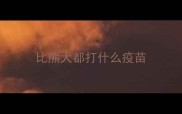 比熊犬都打什么疫苗