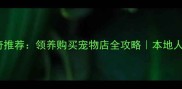 成都哈士奇推荐领养购买宠物店全攻略本地人避坑指南