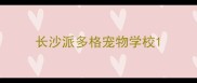 长沙派多格宠物学校