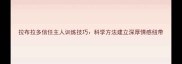 拉布拉多信任主人训练技巧科学方法建立深厚情感纽带