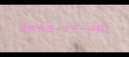 狗狗大便一半干一半稀