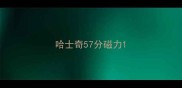 哈士奇57分磁力