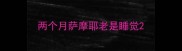 两个月萨摩耶老是睡觉