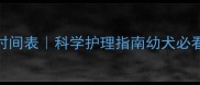 狗狗驱虫和疫苗时间表科学护理指南幼犬必看附超全注意事项