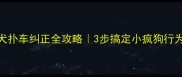 边境牧羊犬扑车纠正全攻略3步搞定小疯狗行为新手必看