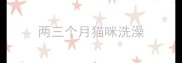 两三个月猫咪洗澡