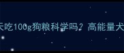 边境牧羊犬一天吃100g狗粮科学吗高能量犬种喂养全指南