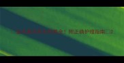 金毛夏天剪毛利弊全附正确护理指南