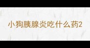 小狗胰腺炎吃什么药