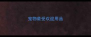 宠物最受欢迎用品