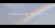 泰迪毛多久能长成棉花糖超全养护指南来了
