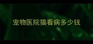 宠物医院猫看病多少钱