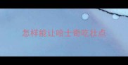 怎样能让哈士奇吃壮点