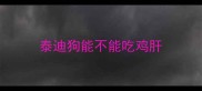 泰迪狗能不能吃鸡肝