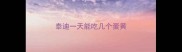 泰迪一天能吃几个蛋黄