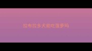 拉布拉多犬能吃菠萝吗