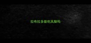 拉布拉多能吃凤梨吗