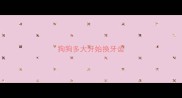 狗狗多大开始换牙齿
