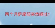 两个月萨摩耶突然呕吐