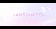 拉布拉多犬肉好不好