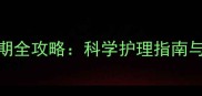 边牧换毛期全攻略科学护理指南与常见误区