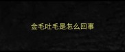 金毛吐毛是怎么回事