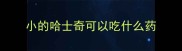 小的哈士奇可以吃什么药