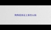 狗狗疫苗证上面怎么贴