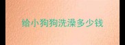 给小狗狗洗澡多少钱