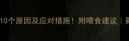 猫咪突然变瘦的10个原因及应对措施附喂食建议新手必看养猫指南