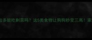 拉布拉多能吃剩菜吗这5类食物让狗狗秒变三高家长必看