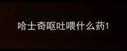 哈士奇呕吐喂什么药