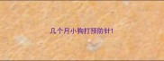 几个月小狗打预防针