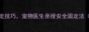 5个猫咪检查保定技巧宠物医生亲授安全固定法附操作图解