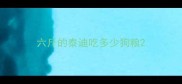 六斤的泰迪吃多少狗粮