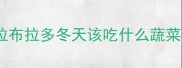 拉布拉多冬天该吃什么蔬菜
