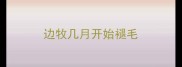 边牧几月开始褪毛