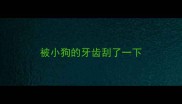 被小狗的牙齿刮了一下