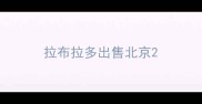 拉布拉多出售北京