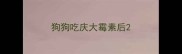 狗狗吃庆大霉素后