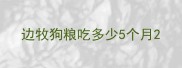边牧狗粮吃多少5个月