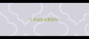 小泰迪能吃葡萄吗